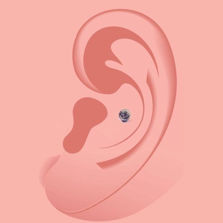 Conch Piercing